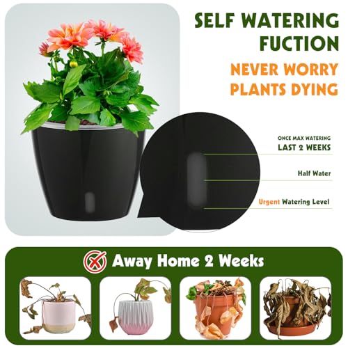 Self Watering Pots for Indoor Plants (16 Count)
