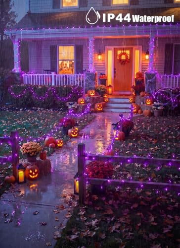Halloween String Lights Outdoor (76 Foot)