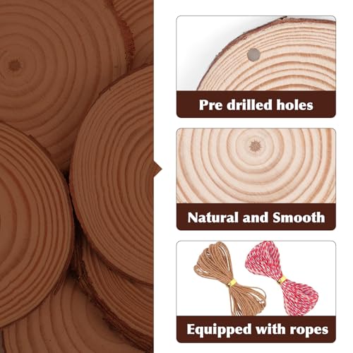 36 Pack Nature Wood Slices for Crafts (36 Count)