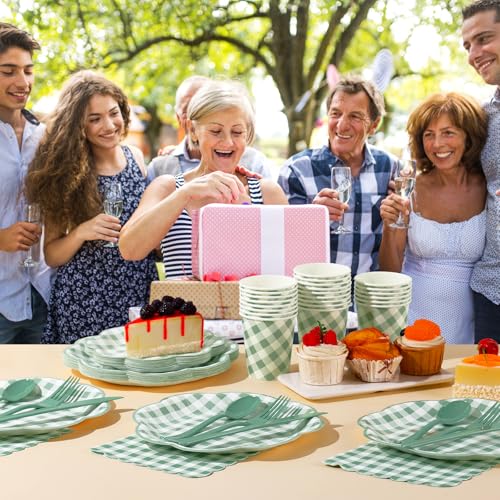 175 Pcs Sage Green Gingham Paper Plates and Napkins Party Supplies (175 Count)