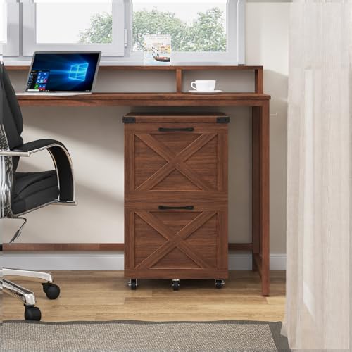 Farmhouse File Cabinet with Lock & 2 Drawers