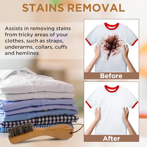 Laundry Stain Brush (2 Count)