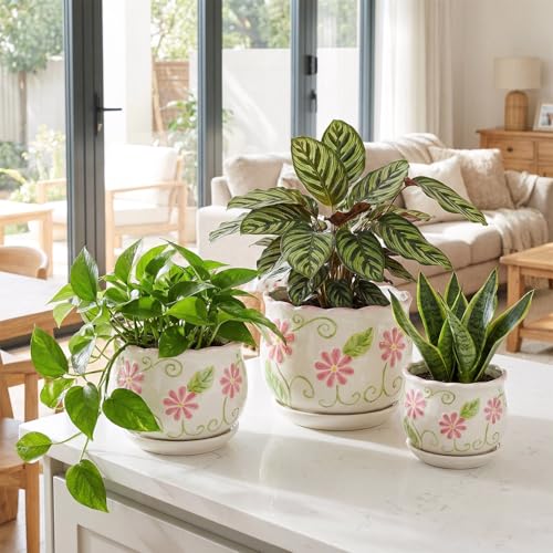 Pink Ceramic Flower Pots (3 Count)