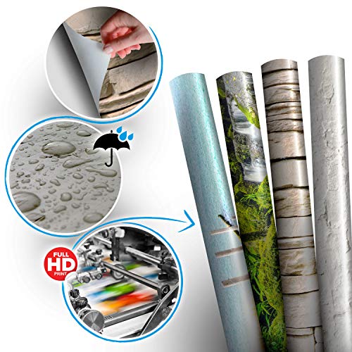 Peel and Stick Wall Mural (5 Count)