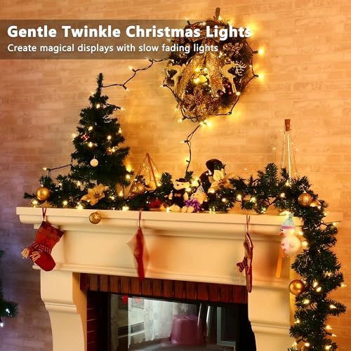 Warm White Christmas Lights Gentle Twinkle