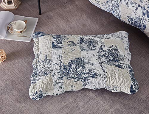 Blue Toile Quilt Set
