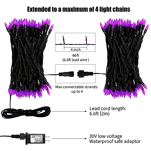 Halloween String Lights Outdoor (76 Foot)