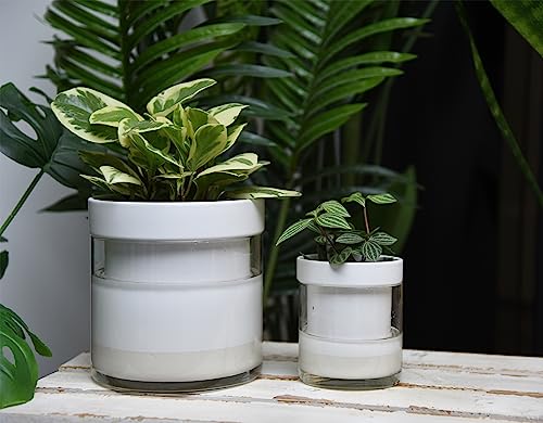 6 Inch 4 Inch Self Watering Planter