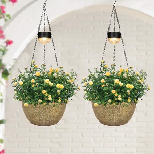 2 Pack Solar Hanging Planters for Plants Outdoor (2 Count)