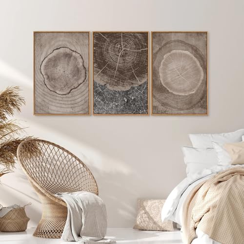 Beige Tree Ring Framed Canvas Wall Art Set (3 Count)