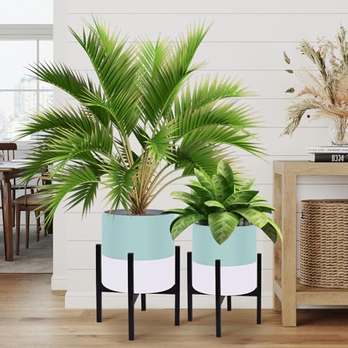 10 & 12 Inches Large Indoor Plant Pots with Stand & Drainage Holes (2 Count)