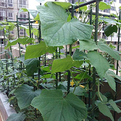 Garden Stakes (25 Count)