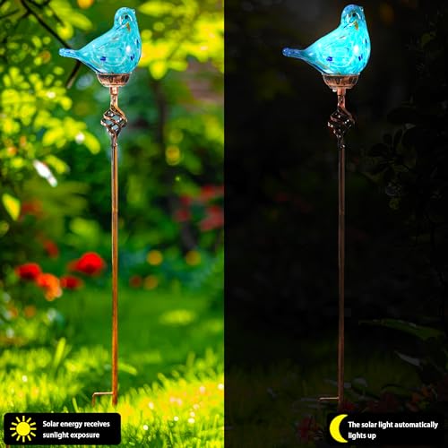 Decorative Solar Lights