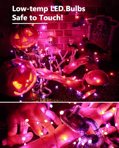 Purple & Orange Halloween Lights