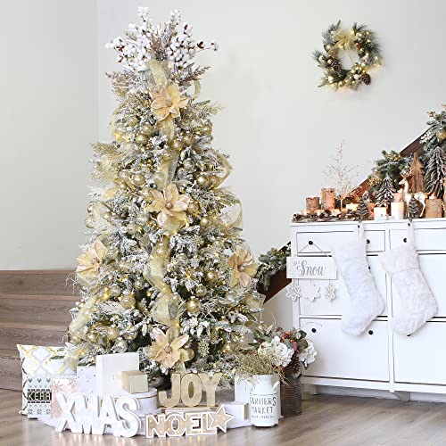 24 Pack Clear Christmas Ball Ornaments with Fillers (24 Count)