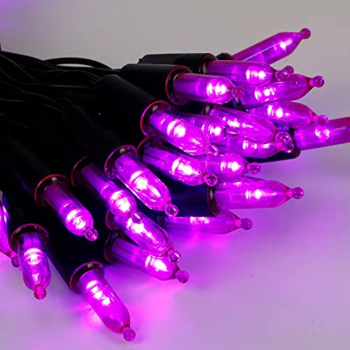 50 LED Outdoor Halloween Lights (16 Foot)
