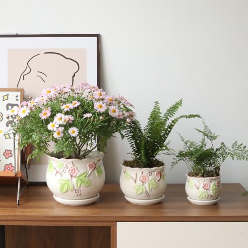 Ceramic Plant Pots with Drainage Holes and Saucers (3 Count)
