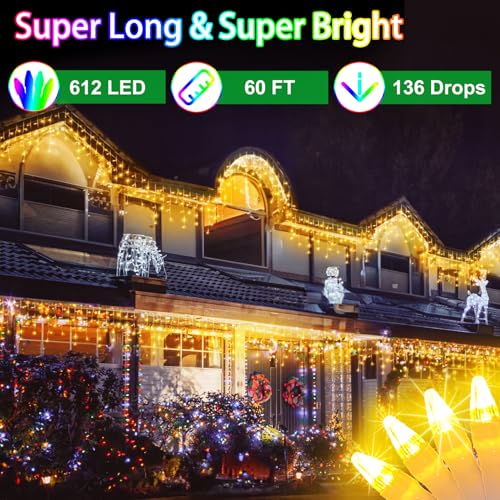 60FT 612 LED Outdoor Christmas Lights