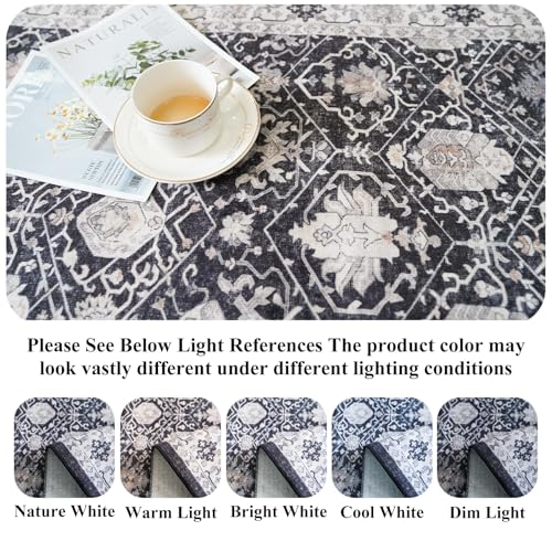 Entryway 2x4 Washable Area Rug (8 Sq Ft)