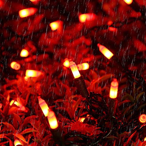 200 Count 42.6ft Orange Incandescent Indoor Halloween String Lights (42.6 Foot)