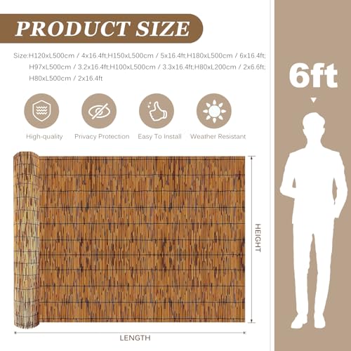 Natural Reed Fencing Rolls (30 sq ft sq ft)
