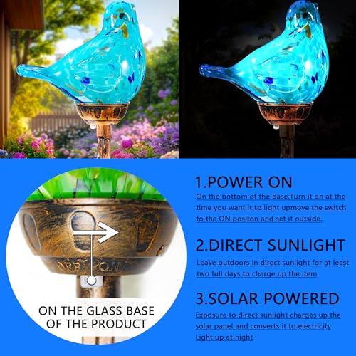 Decorative Solar Lights