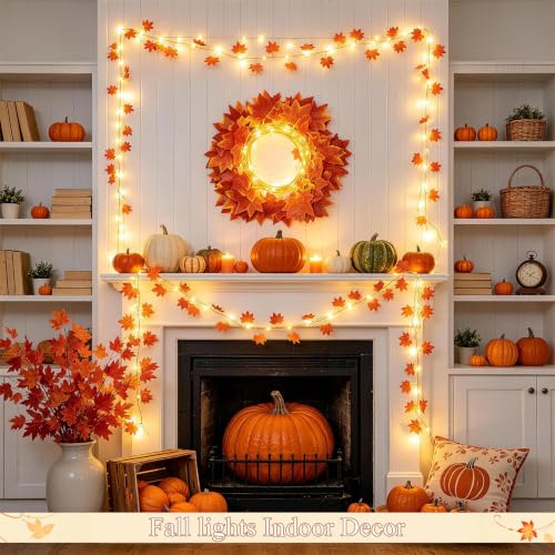 48 LED Maple Leaf Lights (48 Count)