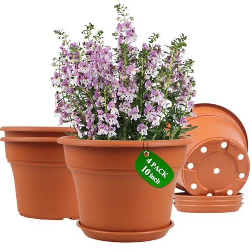 10 Inch Plastic (4 Count)