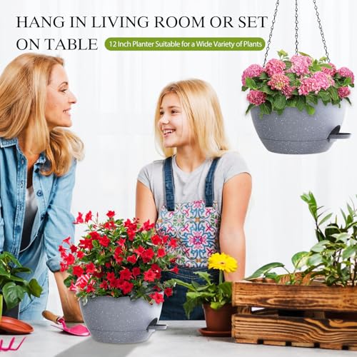 12 Inch Hanging Baskets 2 PC with Chains (2 Count)