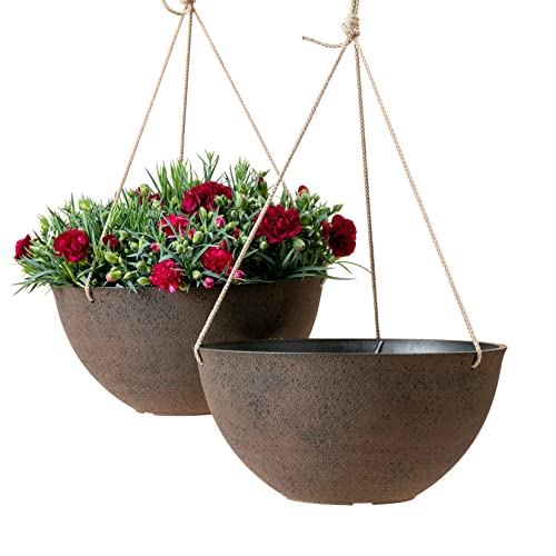 Hanging Planter Baskets for Outdoor Plants (2 Count)