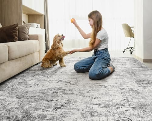 5x7 Area Rug Living Room Rugs