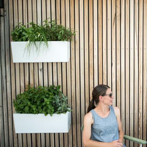 Self Watering Planter Box