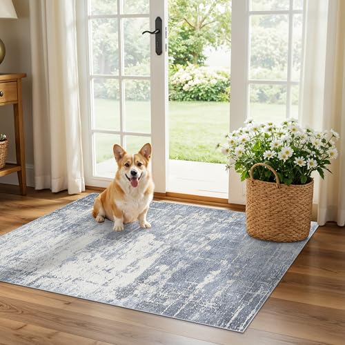 Washable 2x3 Entryway Area Rug (6 Sq Ft)