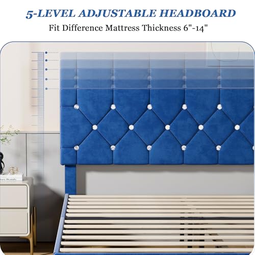 Queen Size Bed Frame