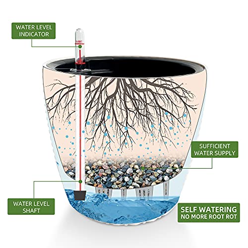 11x10 Self Watering Planter