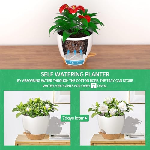 10 Inch Hanging Planters for Indoor Outdoor Plants (2 Count)