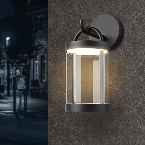LED Wall Sconce Light Outdoor