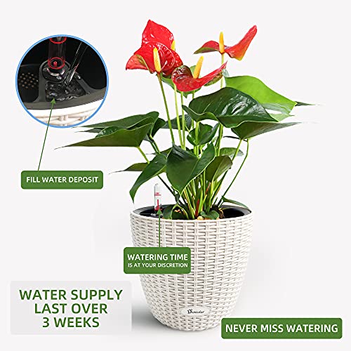 9x8 Self Watering Planter