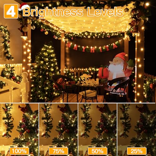 Christmas Lights 1000 LED 330 FT (330 Foot)
