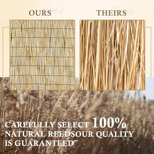 Natural 2 Pack 4FT X16.4FT Reed Fencing Roll Bamboo Privacy Screen (2 Count)