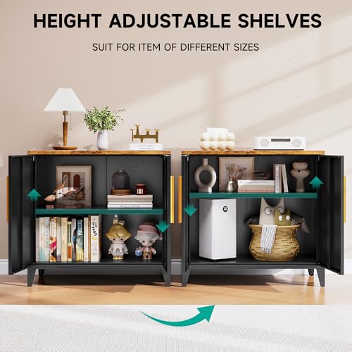 Black Storage Cabinet with Doors and Shelves
