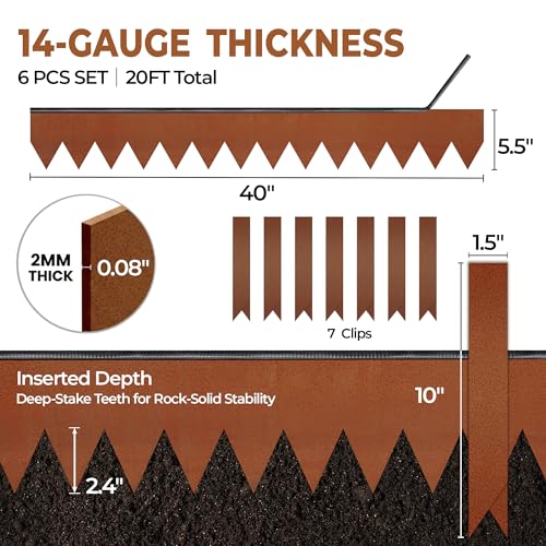 Garden 6 Pack Cor (6 Count)