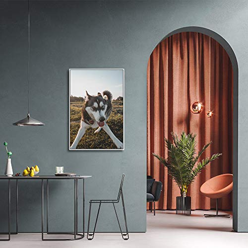 Custom Framed Canvas Prints with Your Photo for Pets