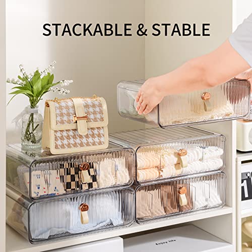 Underwear Organizer for Closet