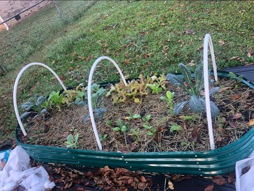 4 Pack 8x3x1FT Galvanized Raised Garden Bed Large Metal Planter Box Kit Elevated Raised Garden Planters for Outdoor Plants (4 Count)