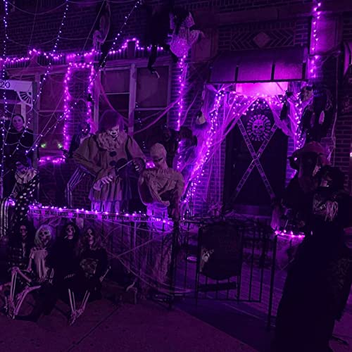 Purple Halloween Fairy String Lights (20 Foot)