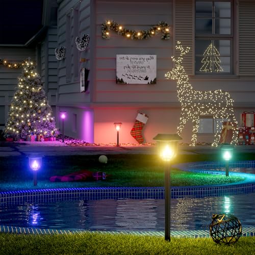 Solar Yard Lights (4 Count)