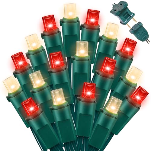 Red Warm Valentine's String Lights Indoor Outdoor Waterproof (100 Count)