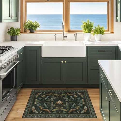 2x3 Entry Way Rugs Indoor (6 Sq Ft)