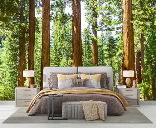 Redwood Forest Landscape Peel and Stick Wallpaper Mural for Bedroom